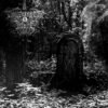 Drowning The Light – Dead Soul Requiem 7"